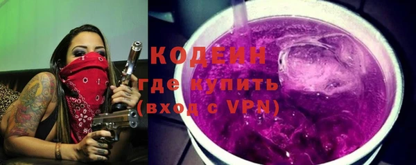 шишки Бородино