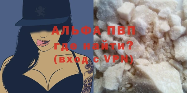 шишки Бородино