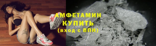 шишки Бородино