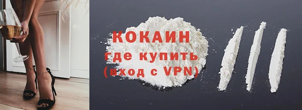 шишки Бородино