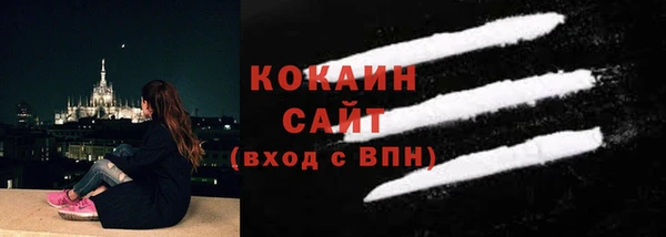 шишки Бородино