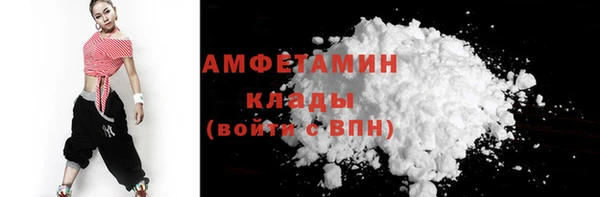 шишки Бородино