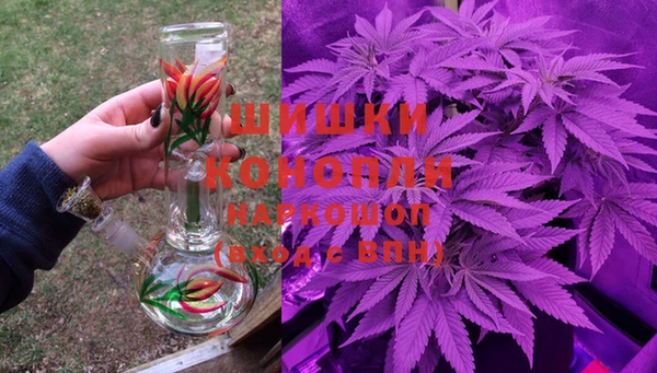 шишки Бородино