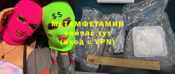 шишки Бородино