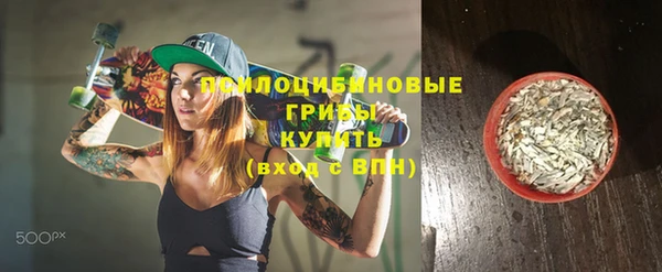 шишки Бородино