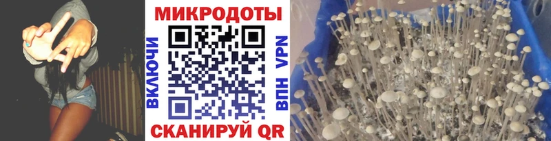 мега как войти  Янаул  Галлюциногенные грибы мухоморы 